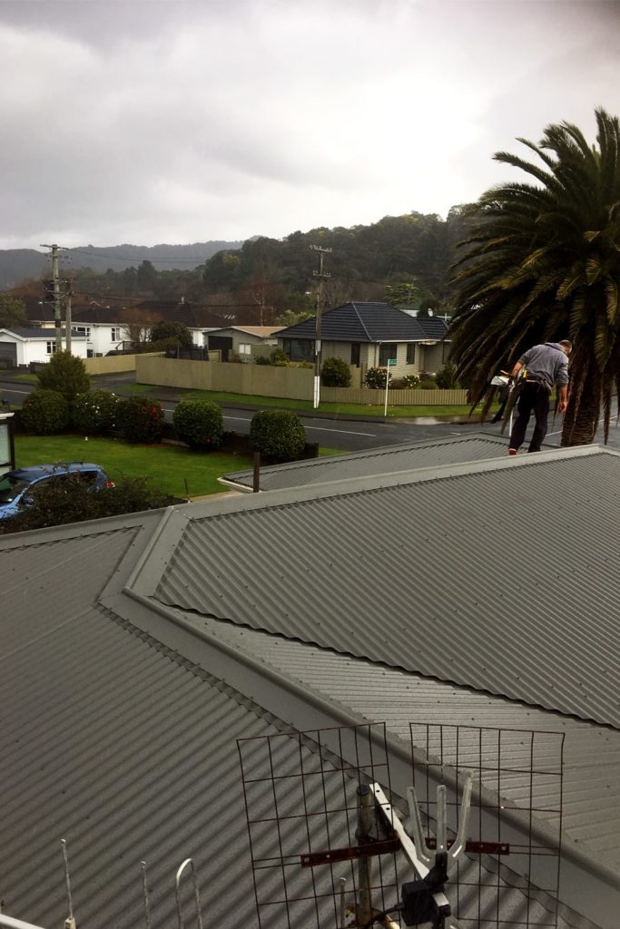 New roof for your home in Wellington